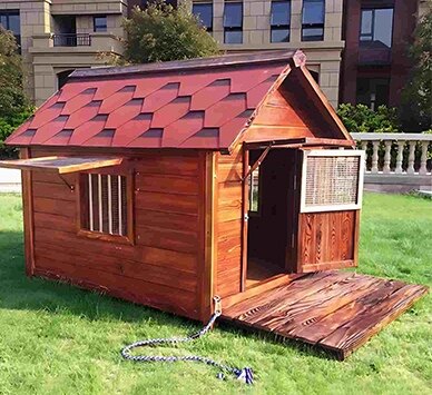 How to Build a Dog House: Complete Guide
